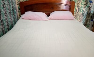 Visole Hotel, Mile 2 Limbe | Fan Room 09