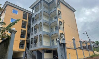 The Master Suite Guest House Limbe | Studio 403
