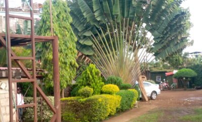 Chez Comfort Hotel Meru Kenya | Singles Room 2Pax (011)