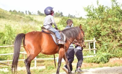 Lemon Valley Farm, Elmenteita, Kenya | Turquoise Cabin Bed & Breakfast 1pax (39)
