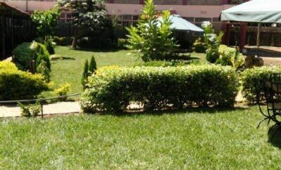 Chez Comfort Hotel Meru Kenya | Singles Room 2Pax (017)
