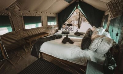 Hideaways Camelthorn Bush Camp, Botswana | Oasis Tent Room (7units)